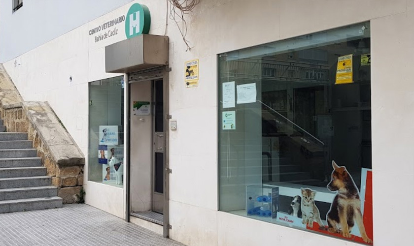La Clínica del Estadio - Centro Veterinario La Clínica del Estadio - Centro Veterinario