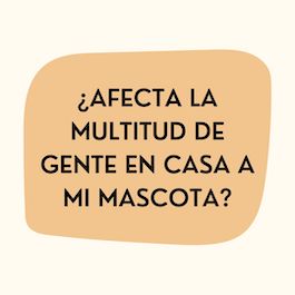 ¿Afecta la multitud de gente en casa a mi mascota?