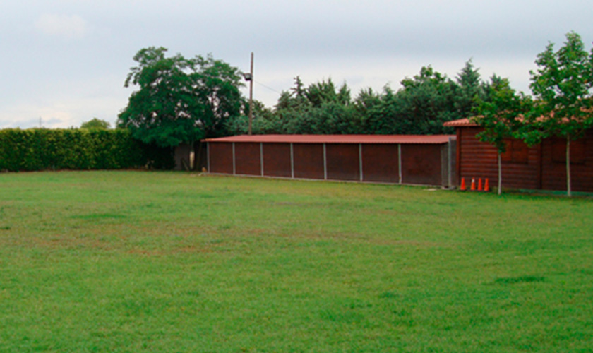 Centro Canino Gufy