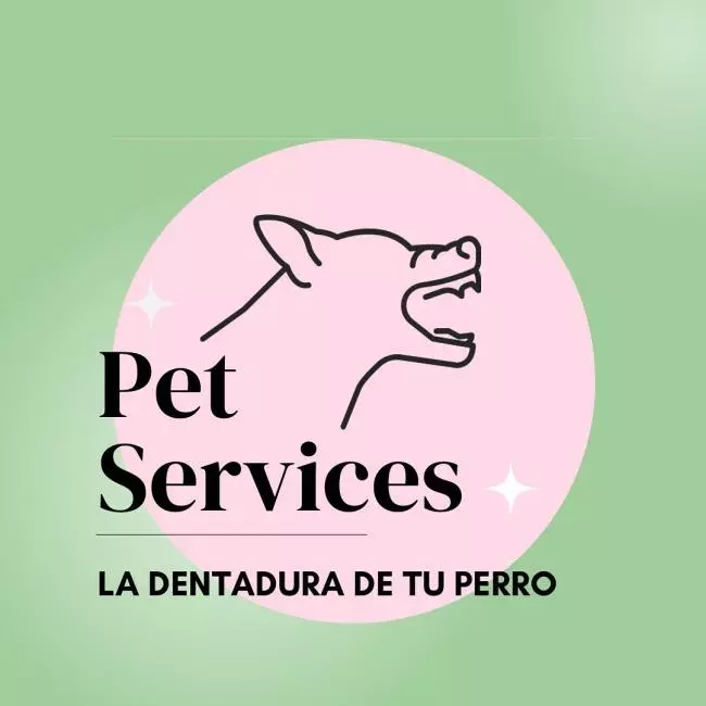 Quiero hablarles sobre la dentadura de nuestros amigos caninos