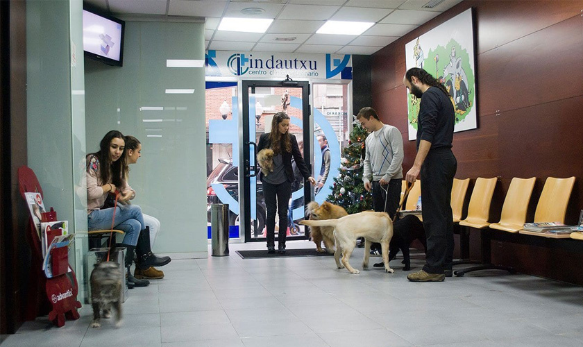 Centro Clínico Veterinario Indautxu