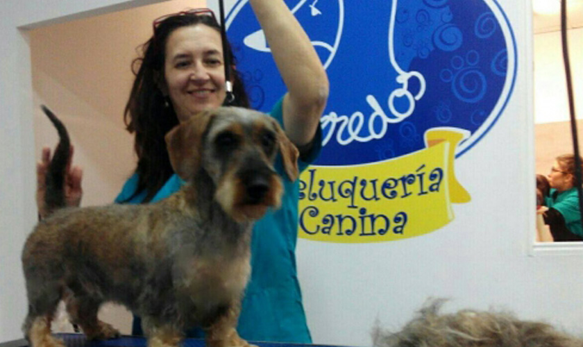 Peluquería canina enredos