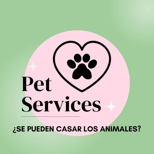 ¿Se pueden casar los animales?