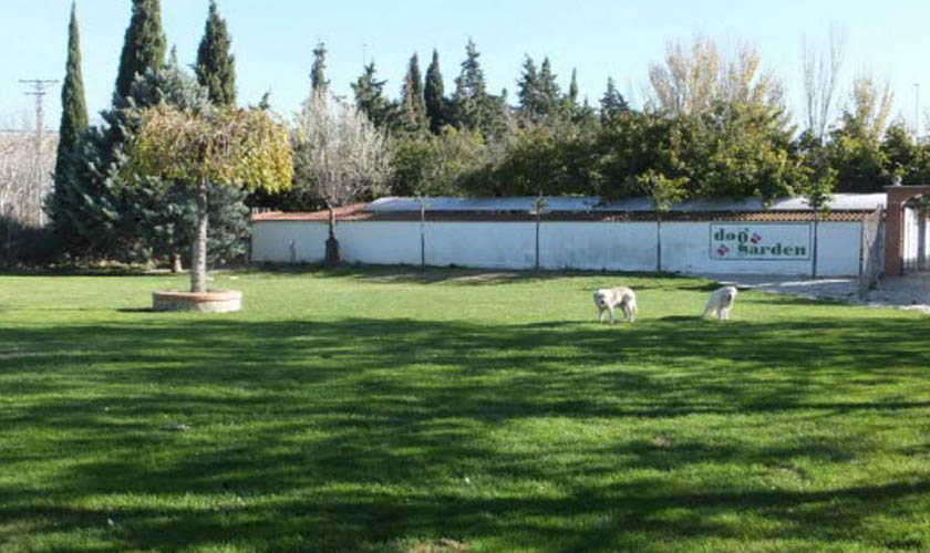 Dog Garden Centro Canino