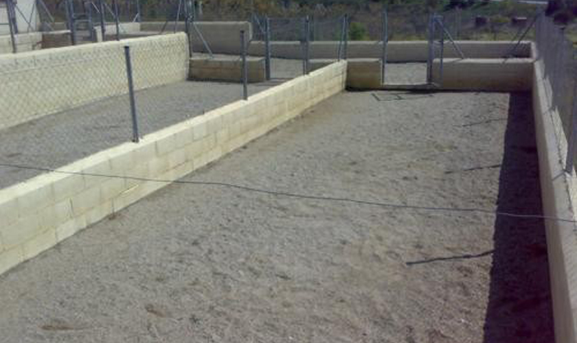 Residencia Canina y Felina Barcelona