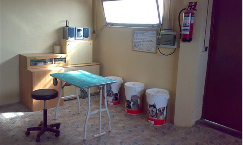 Residencia Canina y Felina Barcelona