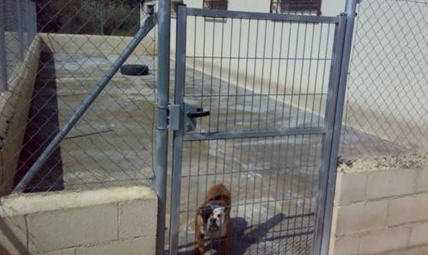 Residencia Canina y Felina Barcelona
