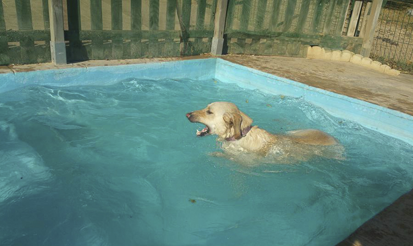 Hotel Cani El Vila