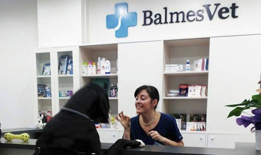 Balmes Vet