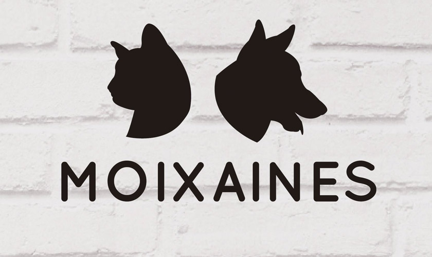 Moixaines