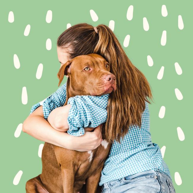 Beneficios de abrazar a tu perro