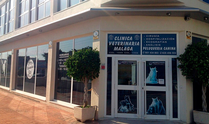 Clínica Veterinaria Málaga