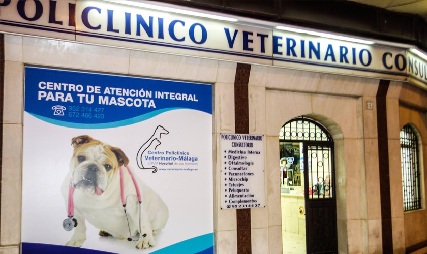 Policlínico Veterinario Málaga