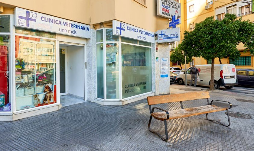 Uno Mas