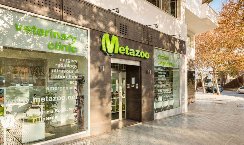 Metazoo
