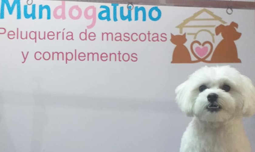 Mundogatuno