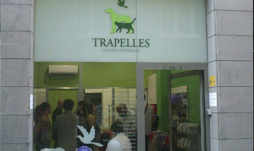 Trapelles