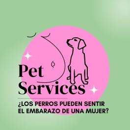 ¿Cómo puede un perro saber si estas embarazada o no?