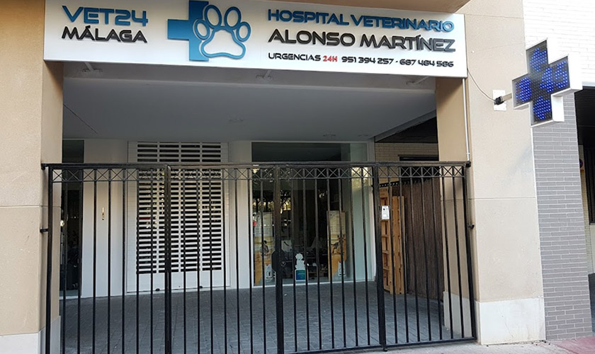 Hospital veterinario dr. Alonso Martínez