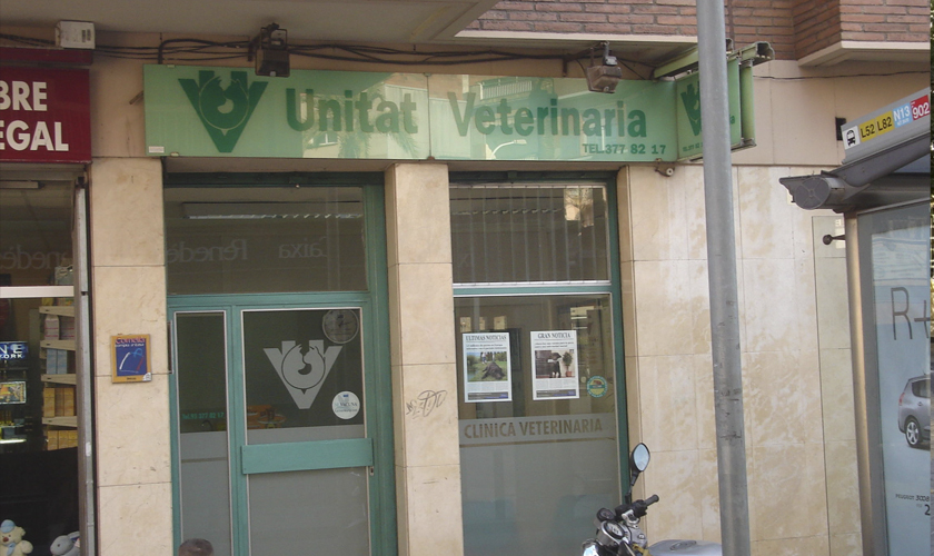 Verdum