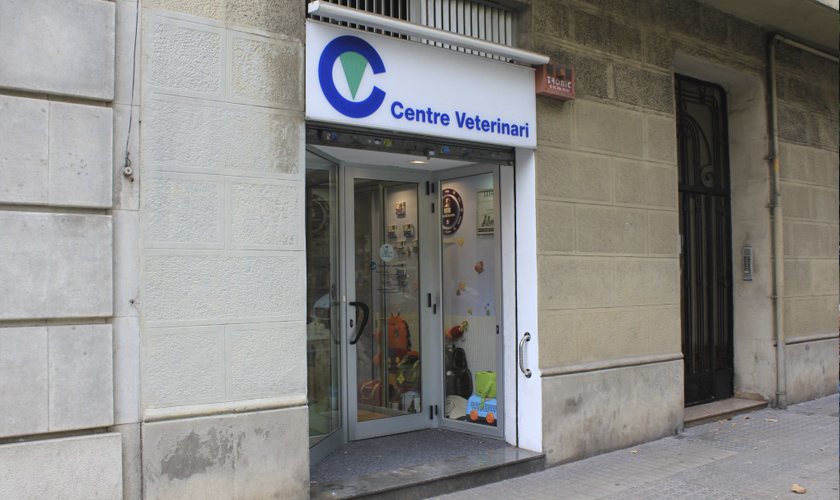 Villarroel