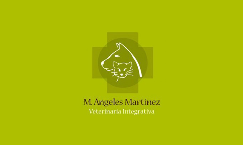 M. Ángeles Martinez