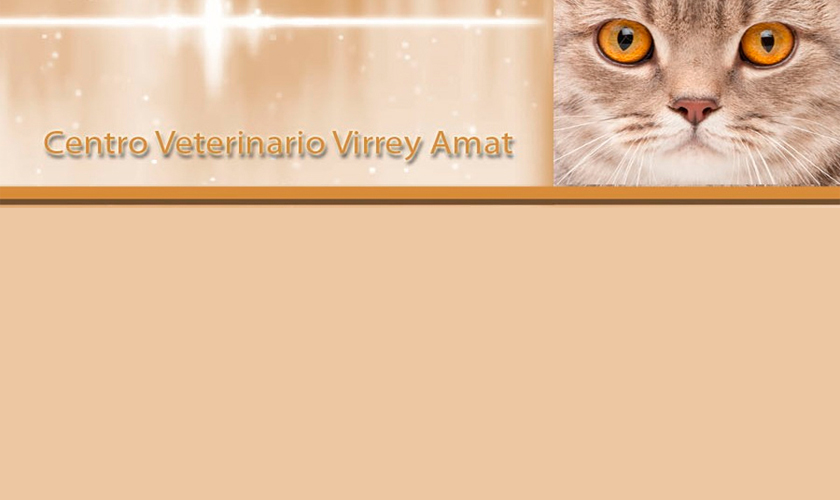 Virrey Amat