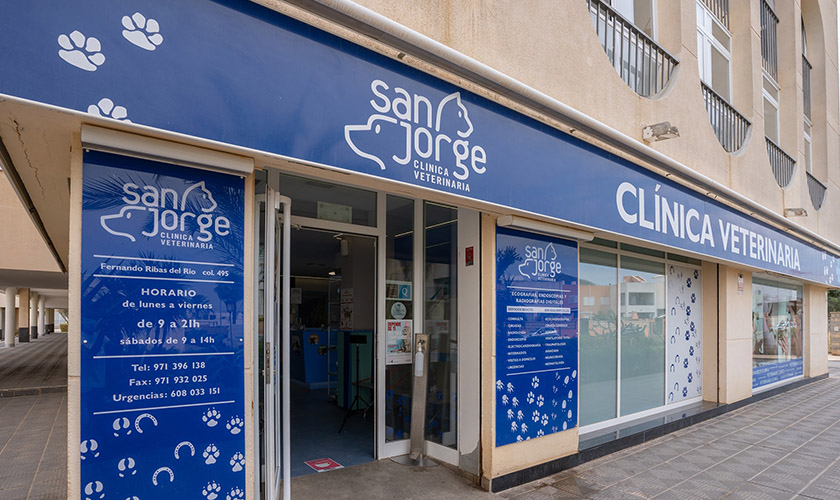 San Jorge