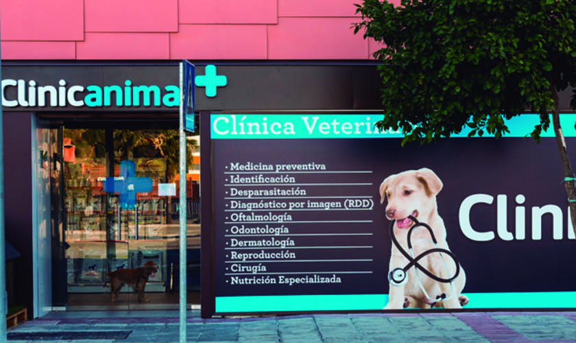 Clinic Animal
