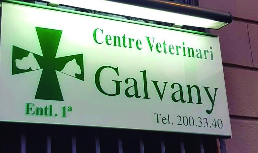 Centre Veterinari Galvany