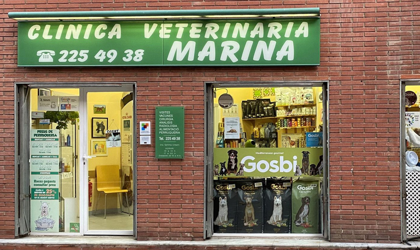 Marina