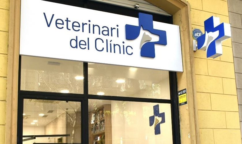Veterinari del Clínico