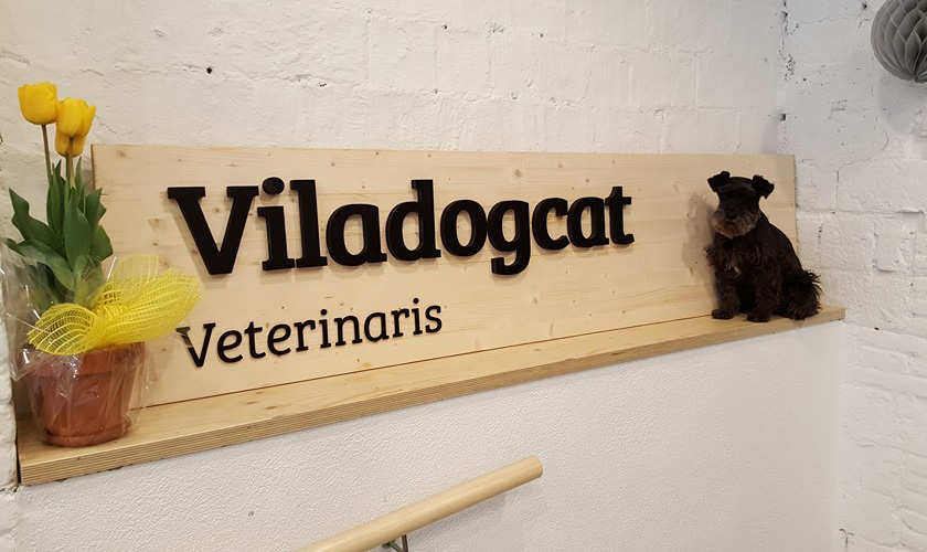 Viladogcat