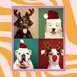 Navidad para nuestras mascotas