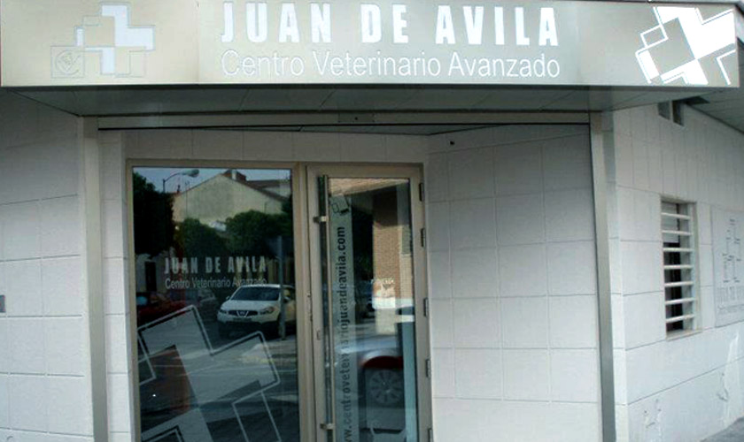 Juan de Ávila