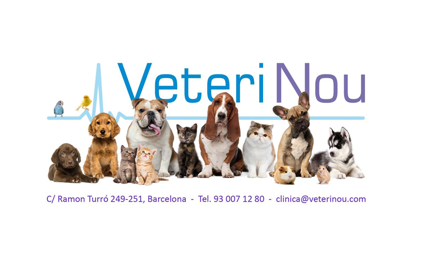 VeteriNou