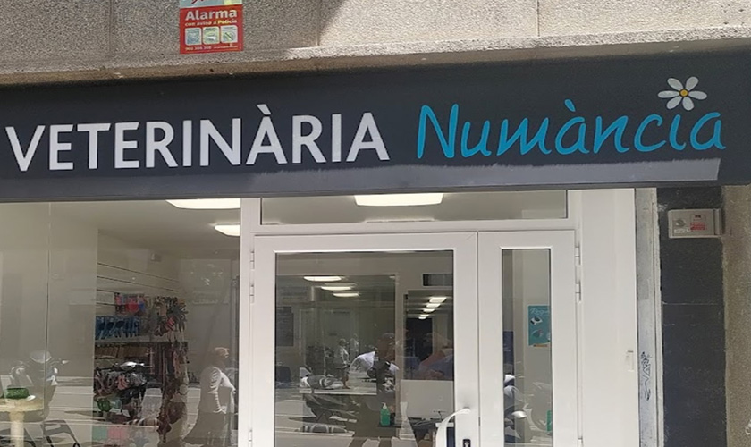 Numància