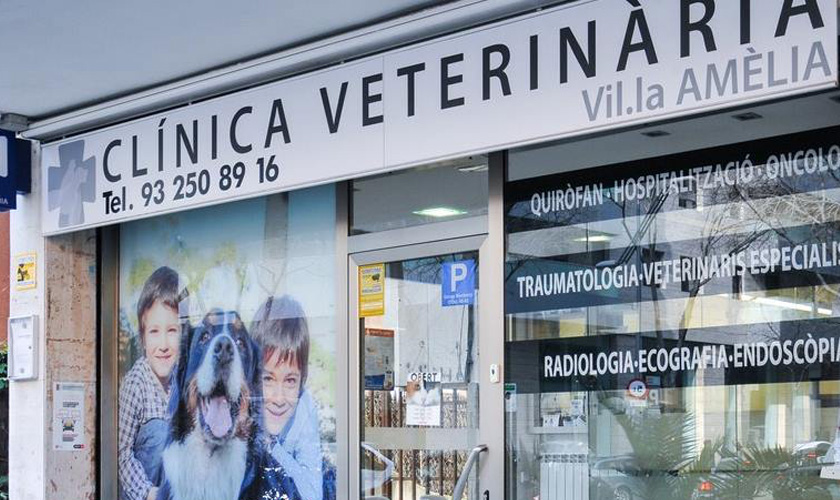 Vil·la Amèlia