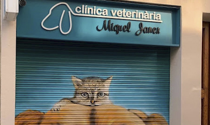 CV Miquel Janer