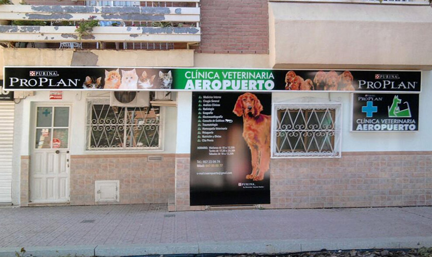 Aeropuerto