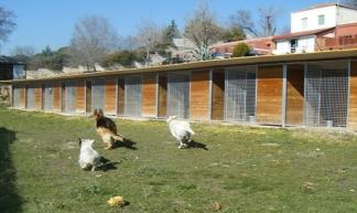 Canhotel residencia canina