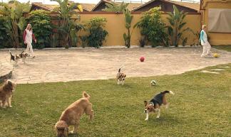 KanYKat - Hotel de superlujo canino y felino