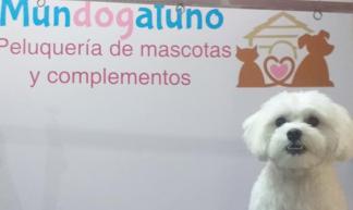 Mundogatuno