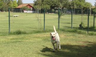 Canina y Felina Ruta de la Plata