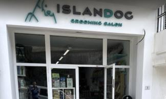 Islandog Ibiza