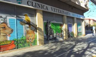 Clínica Veterinaria San Blas